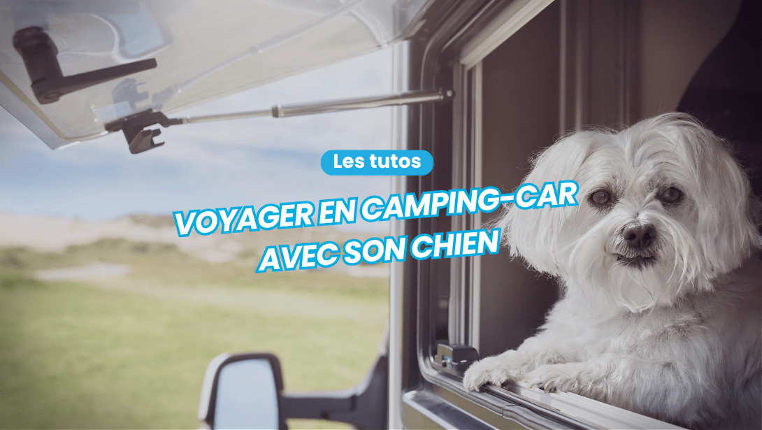 Voyager en camping-car avec son chien : les précautions à ne jamais oublier