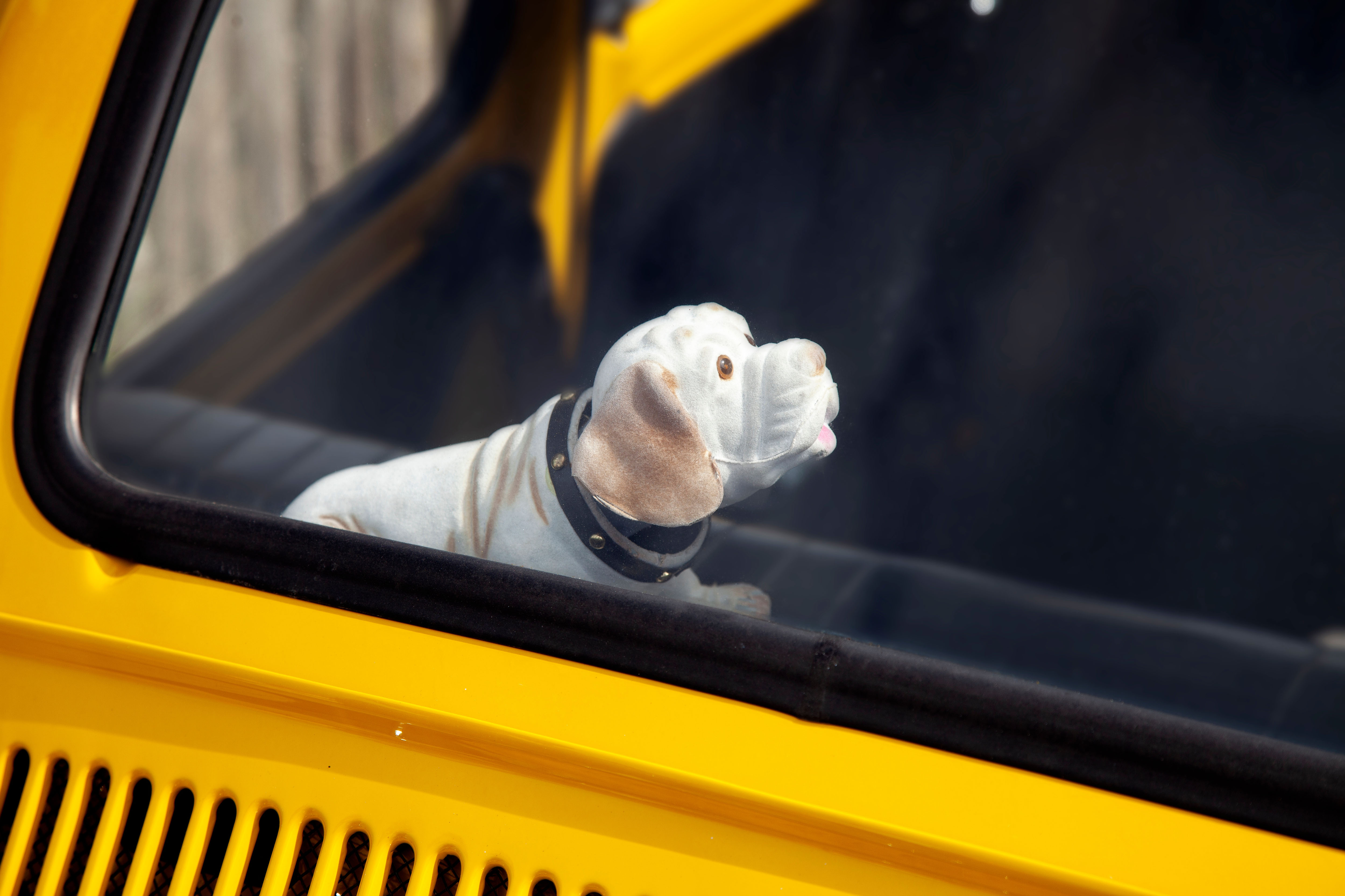 Accessoire de voiture : le chien qui hoche la tête