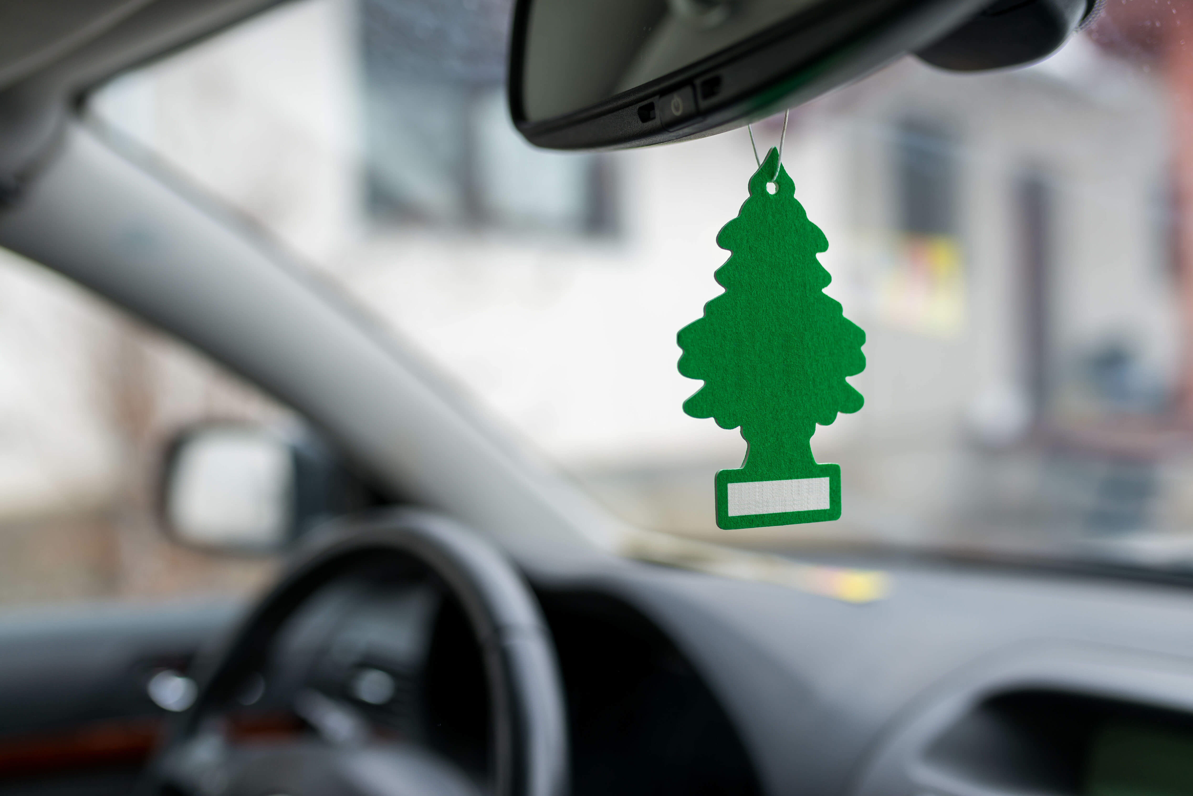 Sapin désodorisant