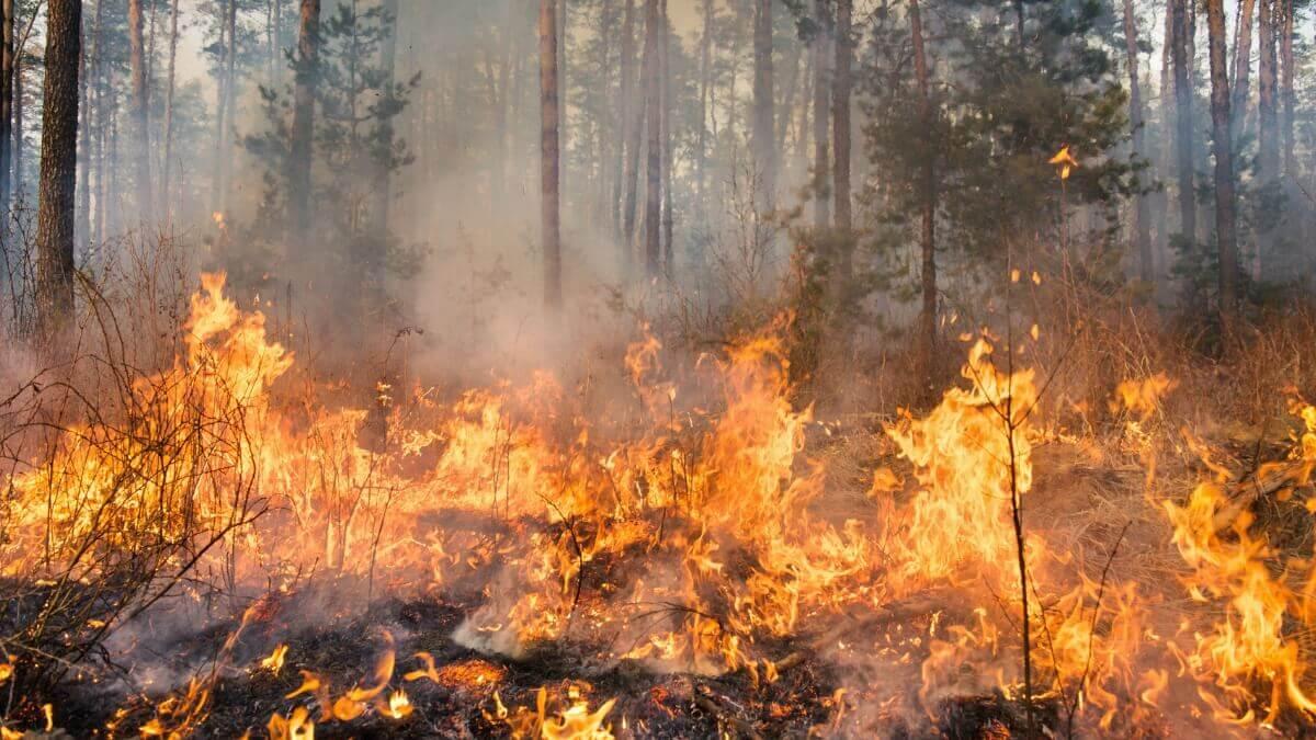 Incendie en Gironde, comment circuler ?