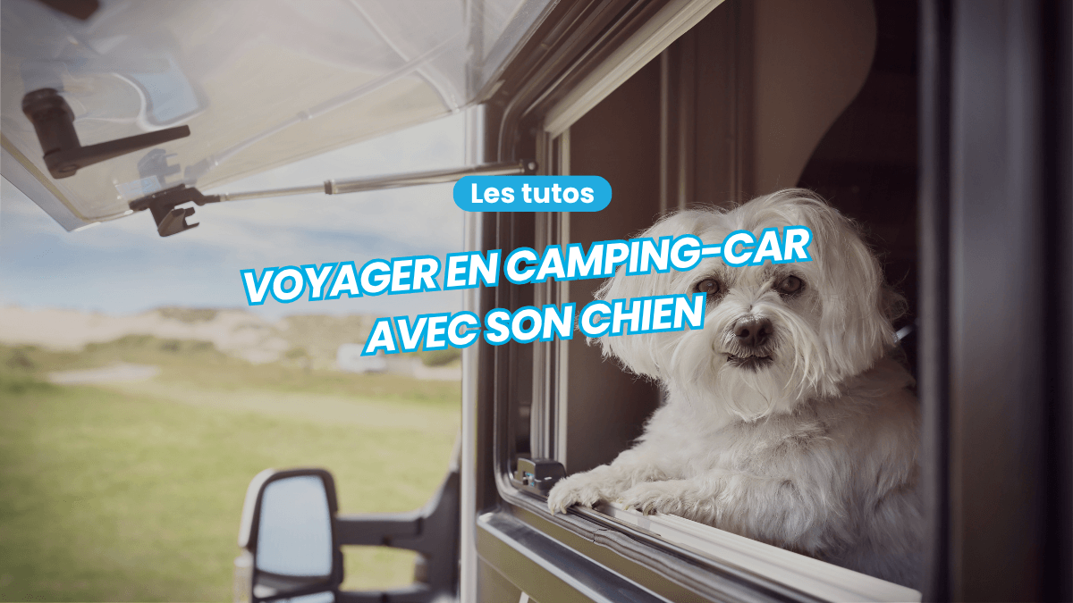 Voyager en camping car avec son chien