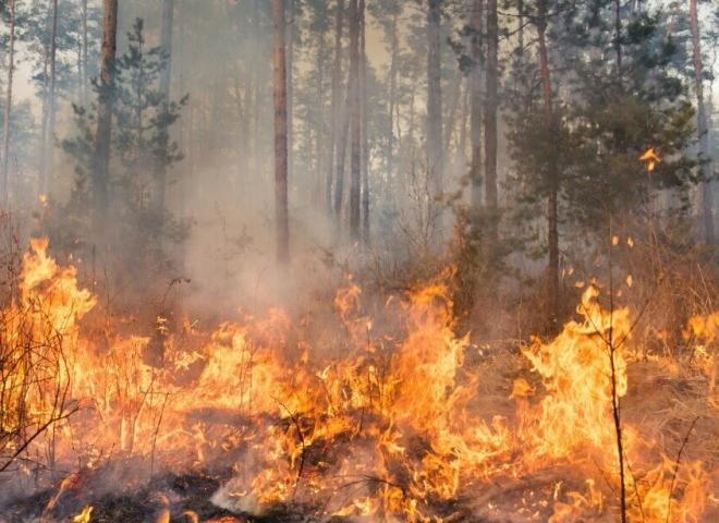 Incendie en Gironde, comment circuler ?