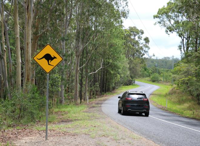 Dispositif anticollision d'animaux sauvages