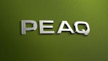 Logo du nouveau Skoda PEAQ