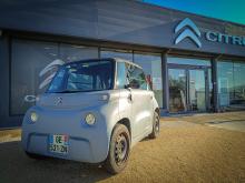 La Sans P' séduit !