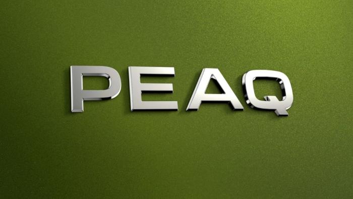 Logo du nouveau Skoda PEAQ