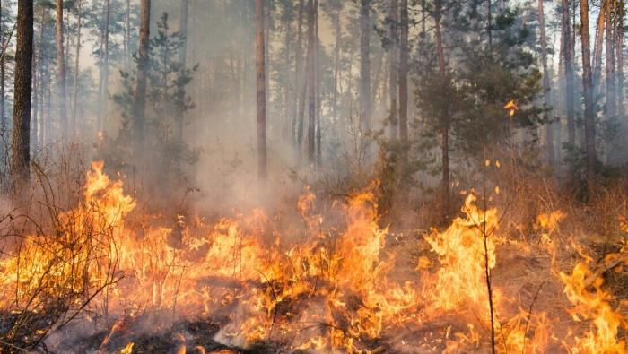 Incendie en Gironde, comment circuler ?