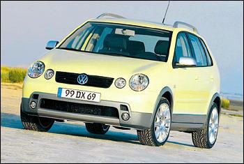 Polo Dune
